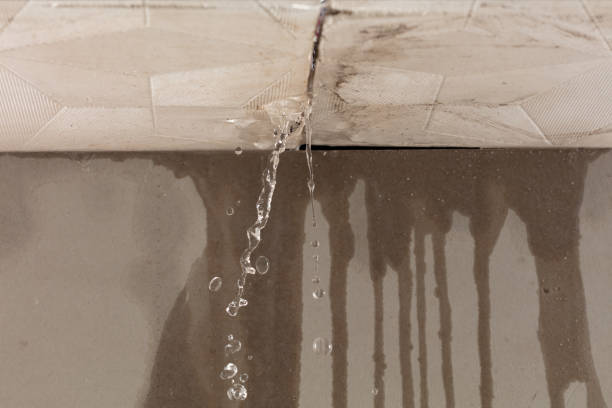 Professional Burst Pipe Cleanup technician working in Nicholasville, KY